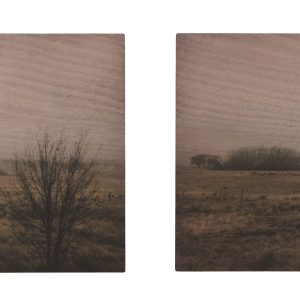 Fallow 7730-33 by Bette Mifsud