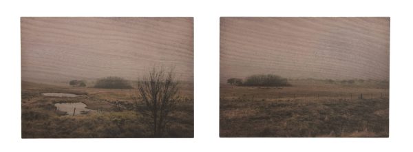 Fallow 7730-33 by Bette Mifsud